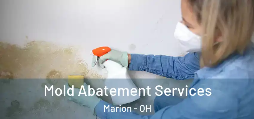  Mold Abatement Services Marion - OH