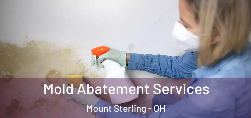  Mold Abatement Services Mount Sterling - OH