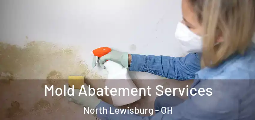  Mold Abatement Services North Lewisburg - OH