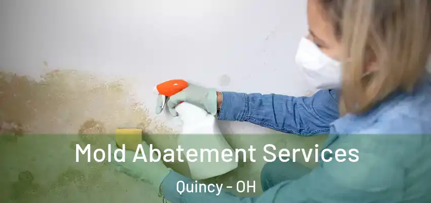  Mold Abatement Services Quincy - OH