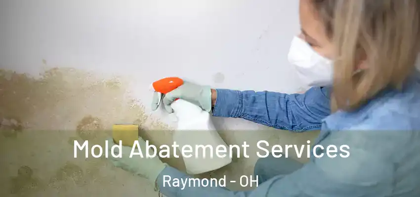  Mold Abatement Services Raymond - OH