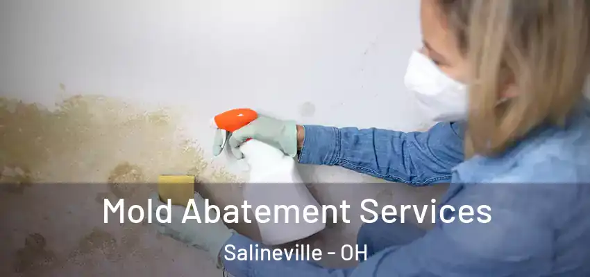  Mold Abatement Services Salineville - OH