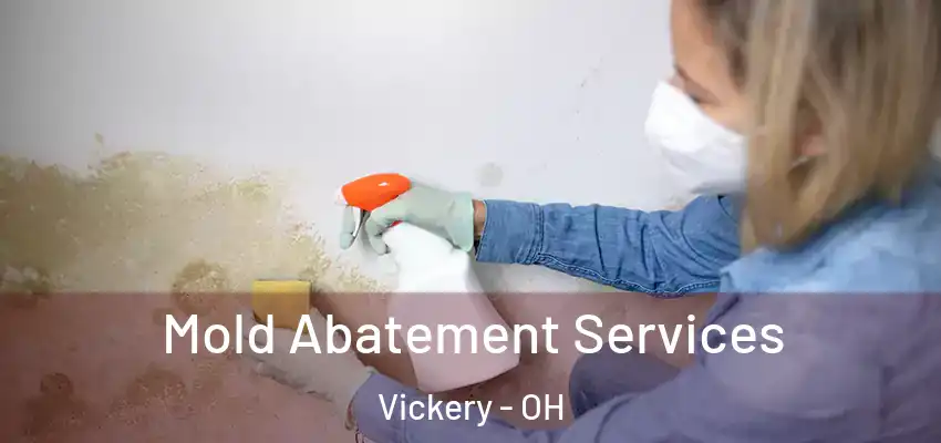  Mold Abatement Services Vickery - OH