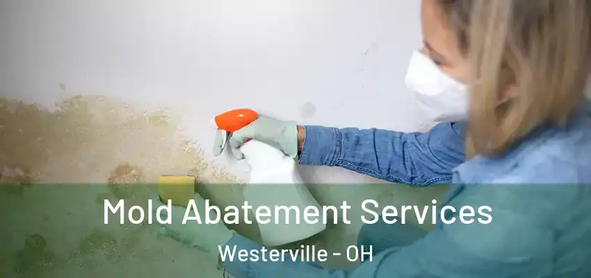  Mold Abatement Services Westerville - OH