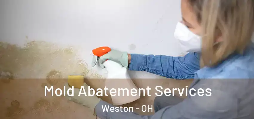  Mold Abatement Services Weston - OH