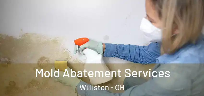 Mold Abatement Services Williston - OH