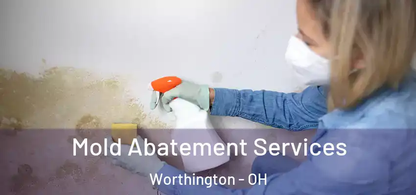  Mold Abatement Services Worthington - OH
