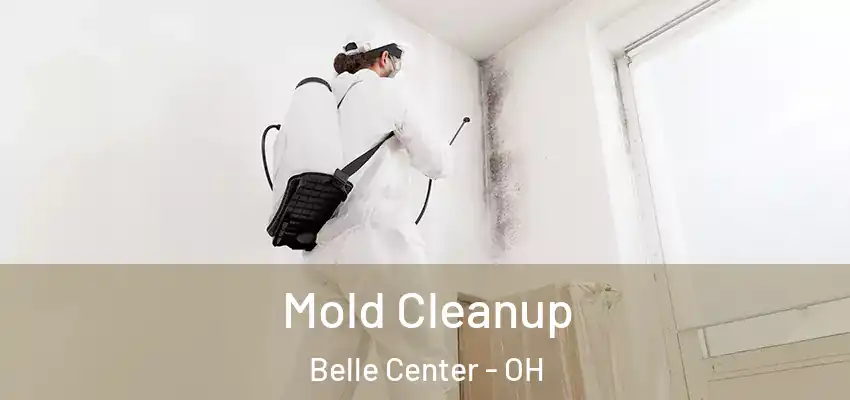  Mold Cleanup Belle Center - OH
