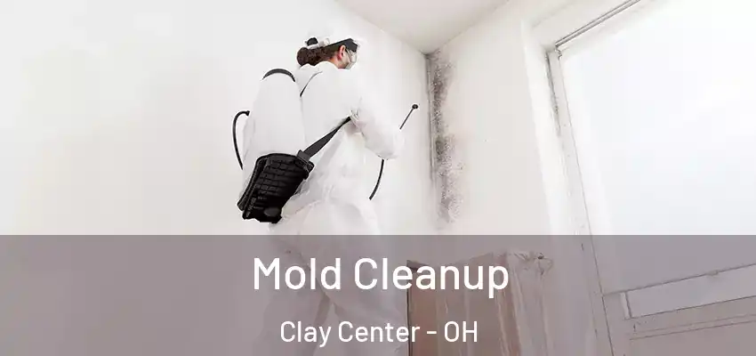  Mold Cleanup Clay Center - OH