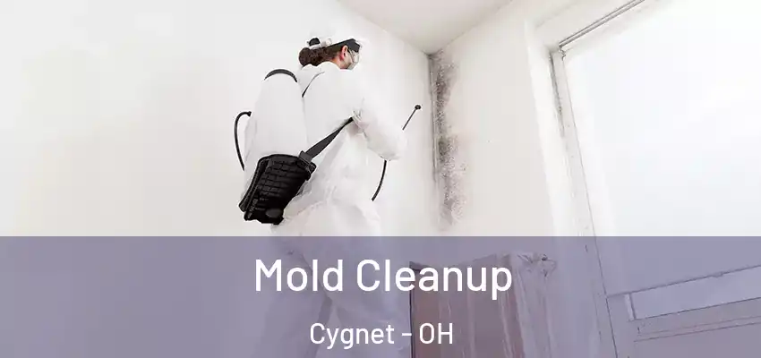  Mold Cleanup Cygnet - OH