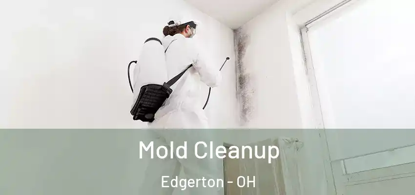 Mold Cleanup Edgerton - OH