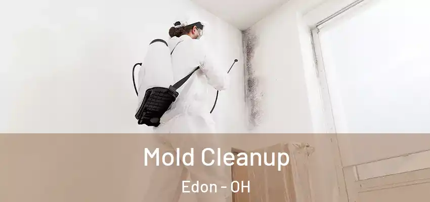  Mold Cleanup Edon - OH