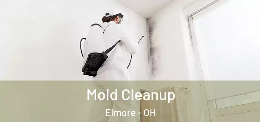  Mold Cleanup Elmore - OH