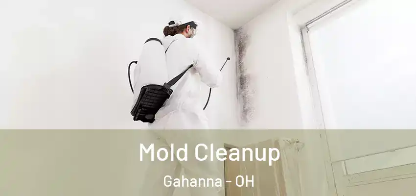  Mold Cleanup Gahanna - OH