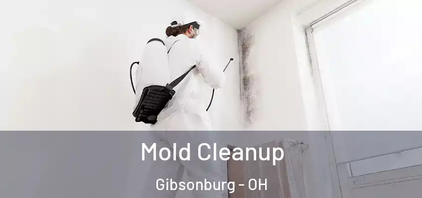  Mold Cleanup Gibsonburg - OH