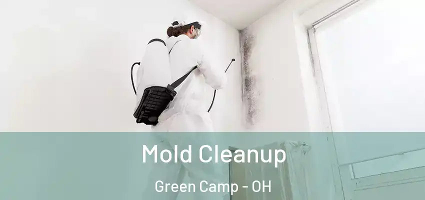  Mold Cleanup Green Camp - OH