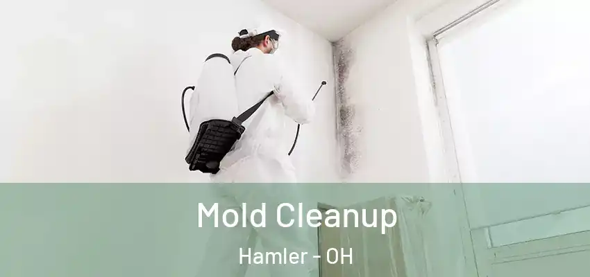  Mold Cleanup Hamler - OH