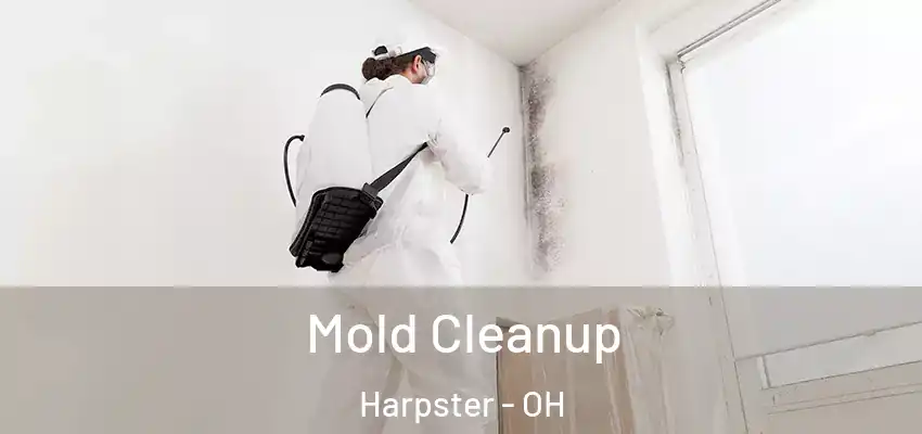  Mold Cleanup Harpster - OH