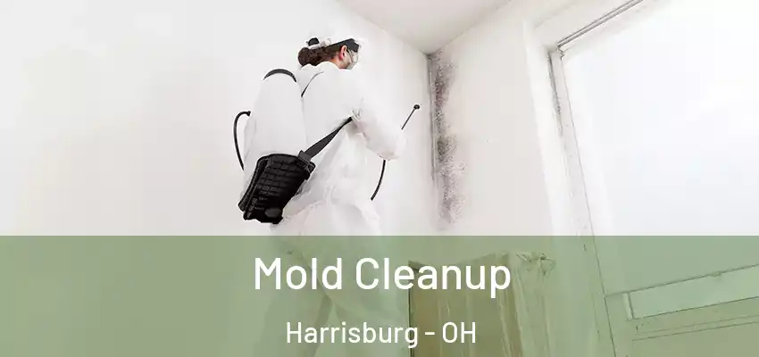  Mold Cleanup Harrisburg - OH