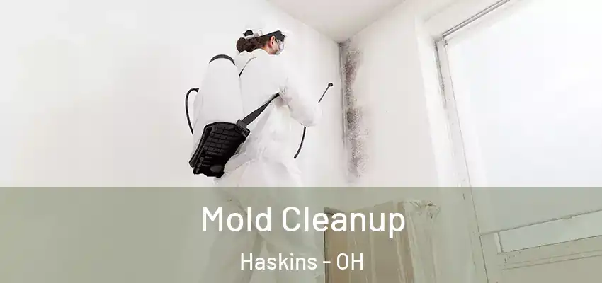  Mold Cleanup Haskins - OH