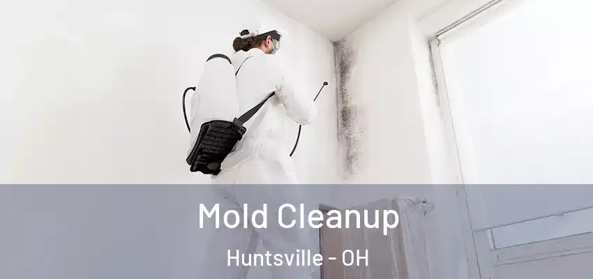  Mold Cleanup Huntsville - OH