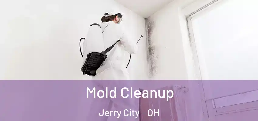  Mold Cleanup Jerry City - OH