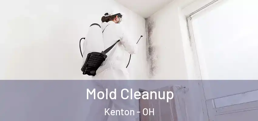  Mold Cleanup Kenton - OH