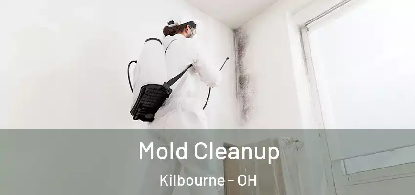 Mold Cleanup Kilbourne - OH