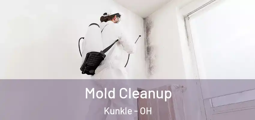  Mold Cleanup Kunkle - OH