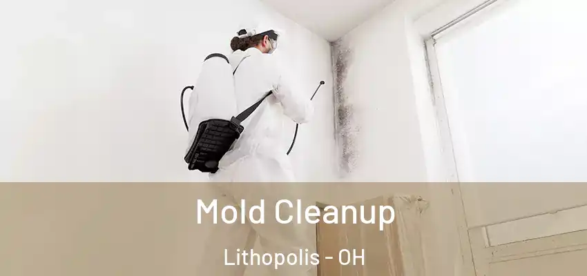  Mold Cleanup Lithopolis - OH