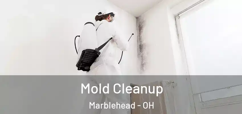  Mold Cleanup Marblehead - OH
