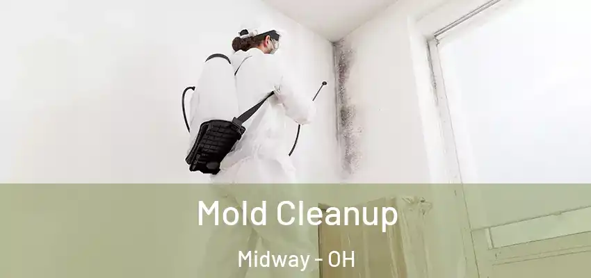  Mold Cleanup Midway - OH