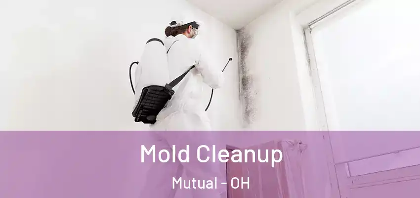 Mold Cleanup Mutual - OH
