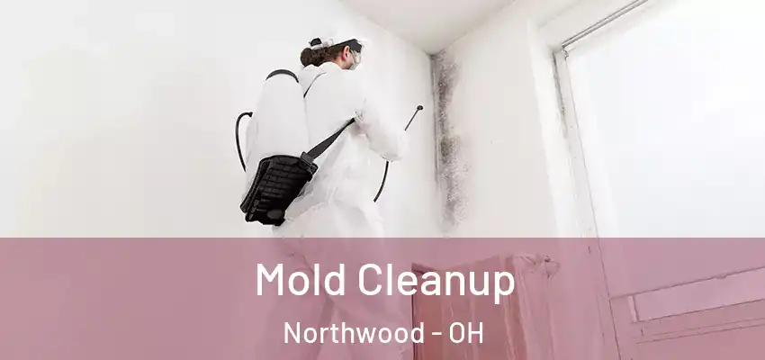  Mold Cleanup Northwood - OH