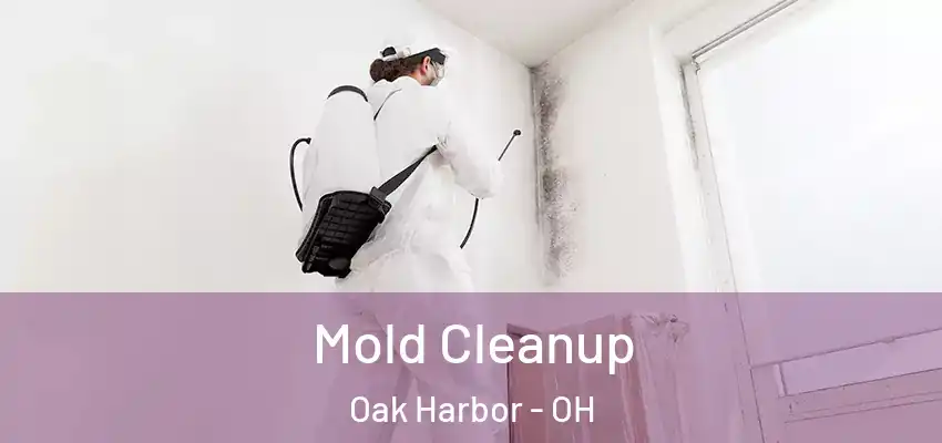  Mold Cleanup Oak Harbor - OH