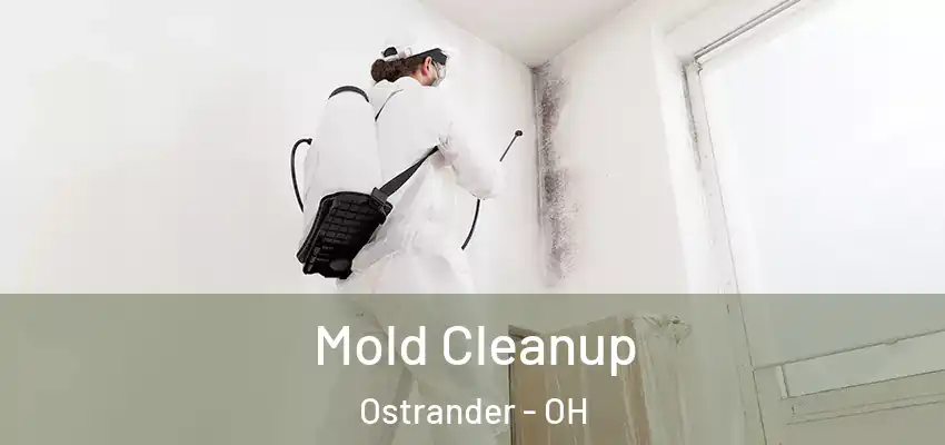  Mold Cleanup Ostrander - OH