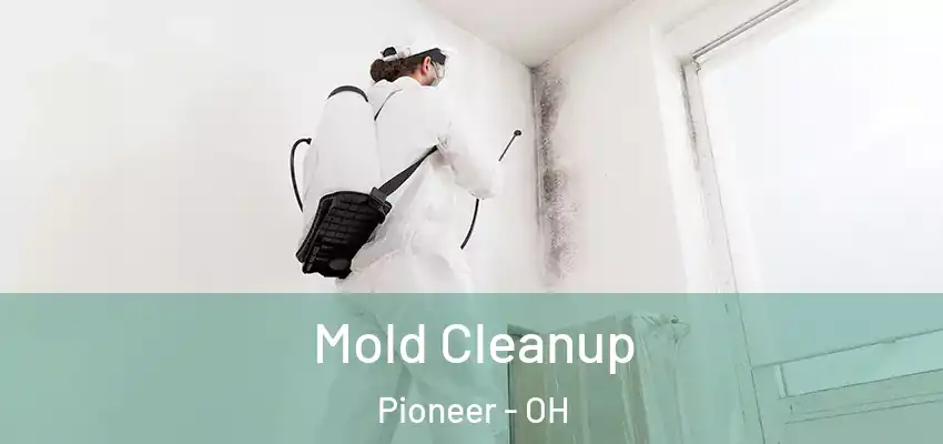  Mold Cleanup Pioneer - OH