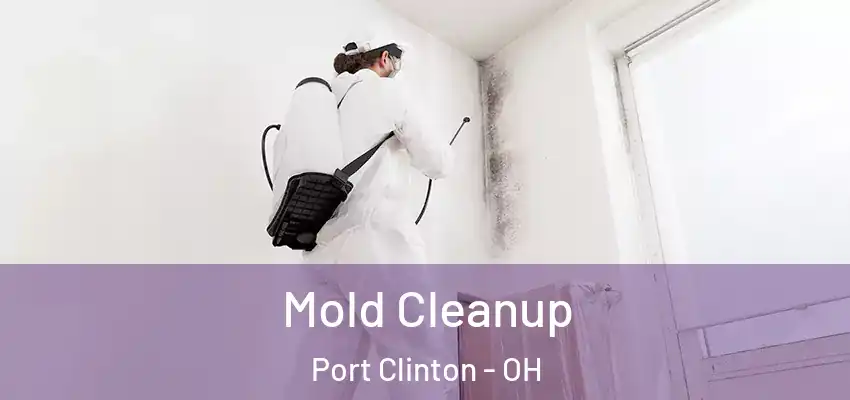  Mold Cleanup Port Clinton - OH