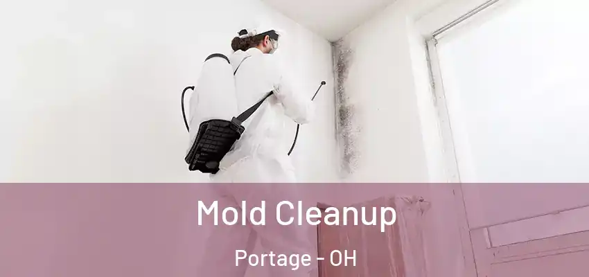 Mold Cleanup Portage - OH
