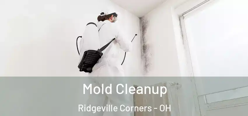  Mold Cleanup Ridgeville Corners - OH