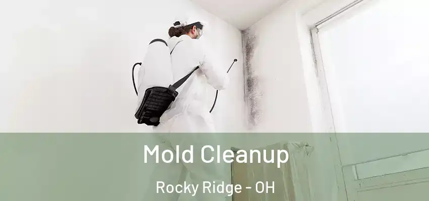  Mold Cleanup Rocky Ridge - OH