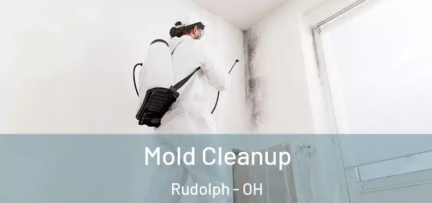  Mold Cleanup Rudolph - OH