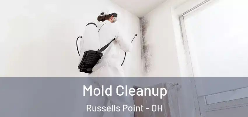  Mold Cleanup Russells Point - OH