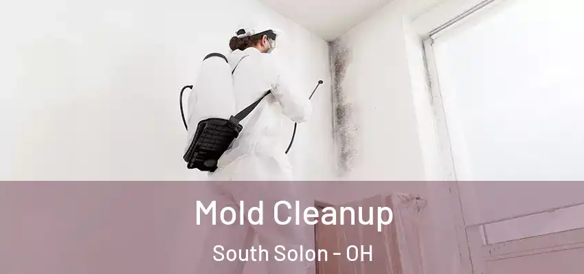  Mold Cleanup South Solon - OH