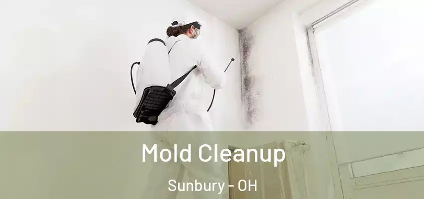  Mold Cleanup Sunbury - OH