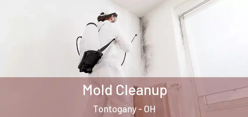  Mold Cleanup Tontogany - OH