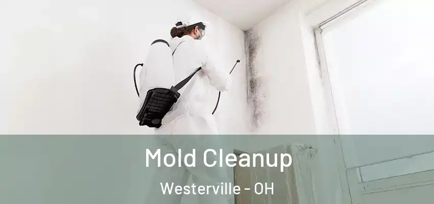  Mold Cleanup Westerville - OH