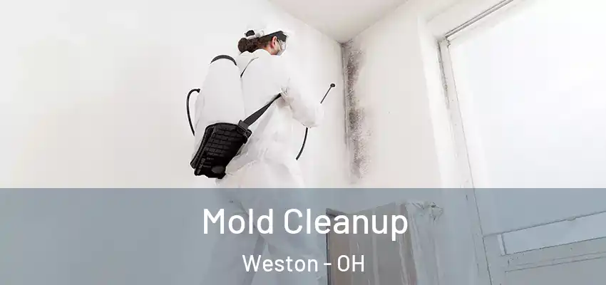  Mold Cleanup Weston - OH