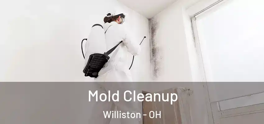  Mold Cleanup Williston - OH
