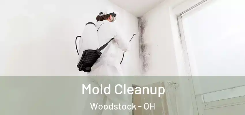  Mold Cleanup Woodstock - OH